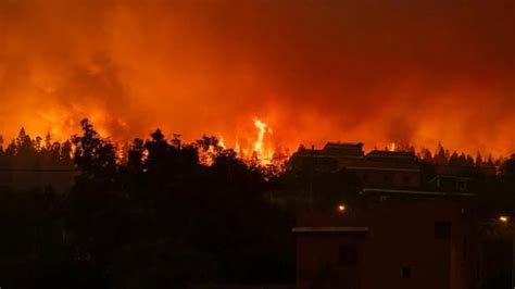 Major wildfires burn in Greece, Spain's Canary Island of Tenerife